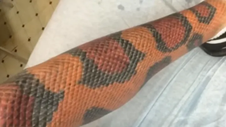 Estos son los 33 tatuajes más absurdos de todos los tiempos