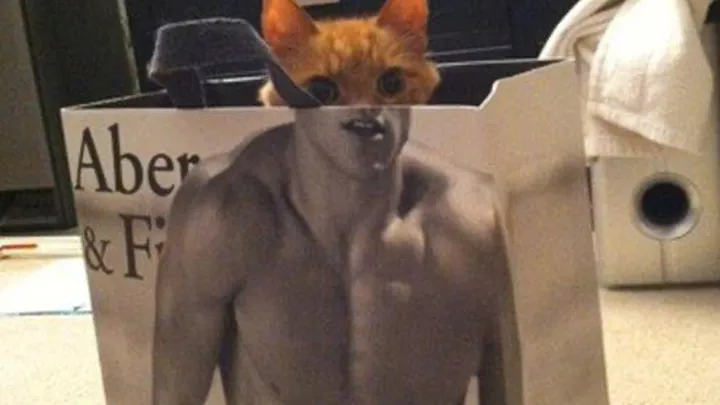 26 foto's die perfect getimed zijn (je moet echt goed kijken om ze te snappen)