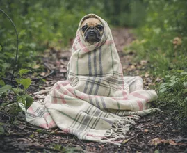 Descubra por que estar com frio pode realmente ser bom para você