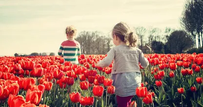 Gek op tulpen? Hier kun je ze zaterdag 19 januari gratis plukken
