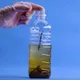 Placez des clous rouillés dans une bouteille en plastique et vous verrez ce que vous pouvez faire
