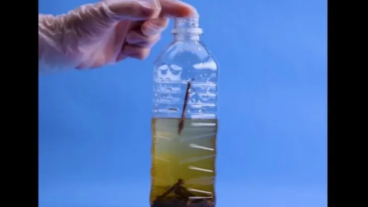 Placez des clous rouillés dans une bouteille en plastique et vous verrez ce que vous pouvez faire