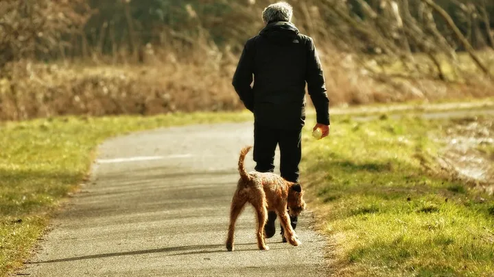 Haal de zomerjas maar tevoorschijn: dit weekend heerlijk lenteweer