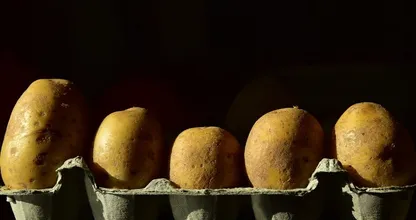 Wenn man Kartoffeln so lagert, fangen sie nicht an zu keimen!
