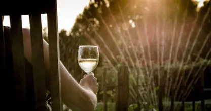 Het lenteweer komt eraan: volgend weekend kans op maar liefst 20 graden!