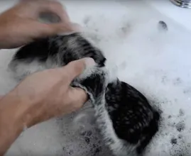 Wenn hartnäckiger Schweißgeruch einfach nicht aus deiner Kleidung geht