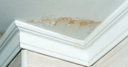 Hoe om te gaan met daklekkages en tips om deze te verhelpen