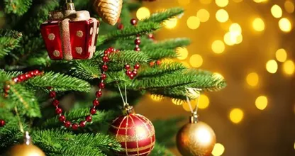 This is the biggest mistake people make when putting up their Christmas tree!