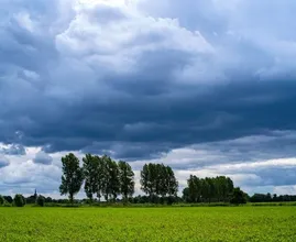 Code geel: onweersbuien en noodweer in heel het land verwacht