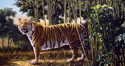 Kan jij de 'hidden tiger' op deze afbeelding vinden?
