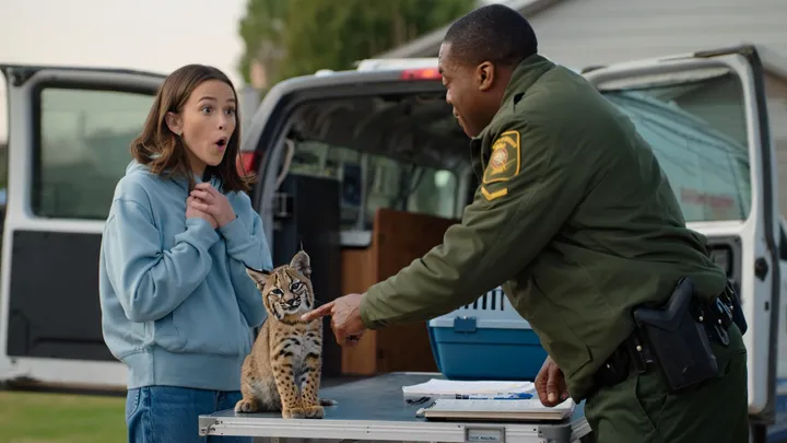 Kitten Found in Backyard Turns Out to Be Something Else Entirely