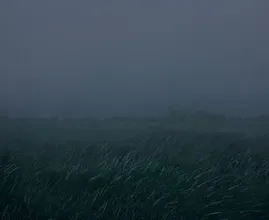 Dichte mist zorgt voor zware ochtendspits in het hele land