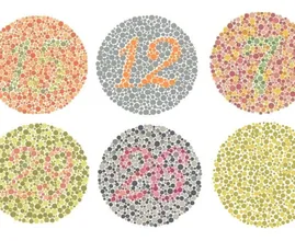 Sind Sie farbenblind? Machen Sie den Test!