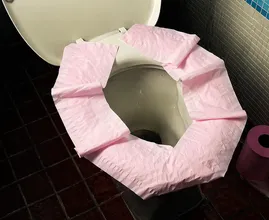 Não corra o risco! Colocar papel higiênico no assento faz o oposto do que você pensa
