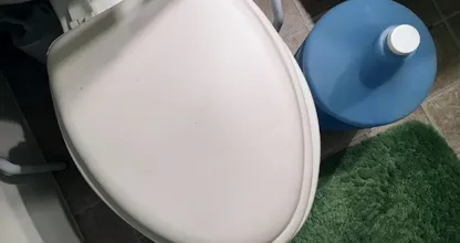These two common cleaning mistakes make your toilet a true breeding ground for bacteria!