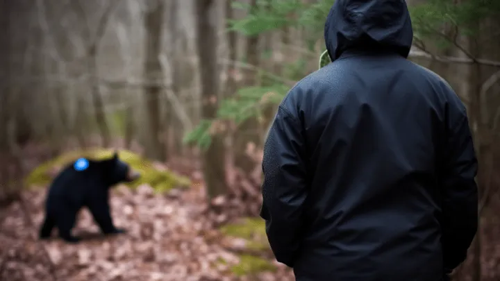 Bear Waves To Family Every Morning - One Day Dad Follows Him And Makes A Strange Discovery
