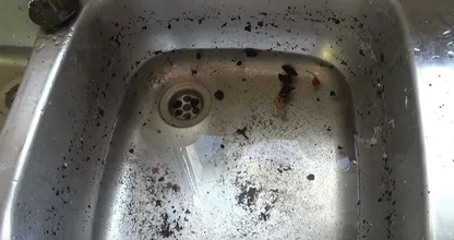 Abfluss verstopft? Mit diesen 2 Zutaten wird der sofort wieder frei!