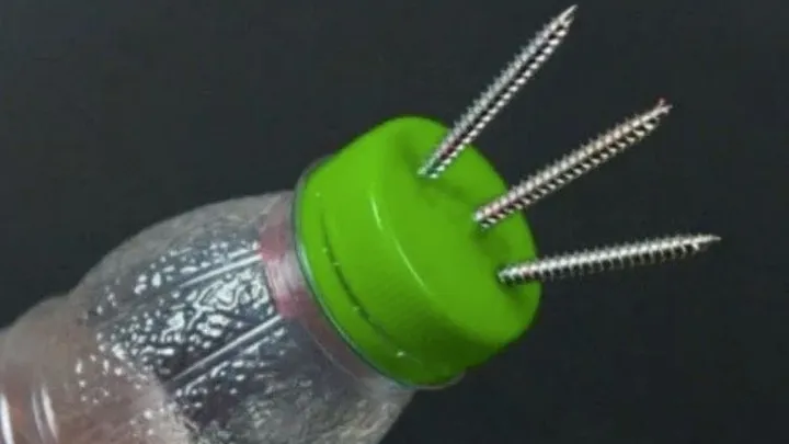 Do you have used plastic bottles at home? You will never guess what you can do with them!