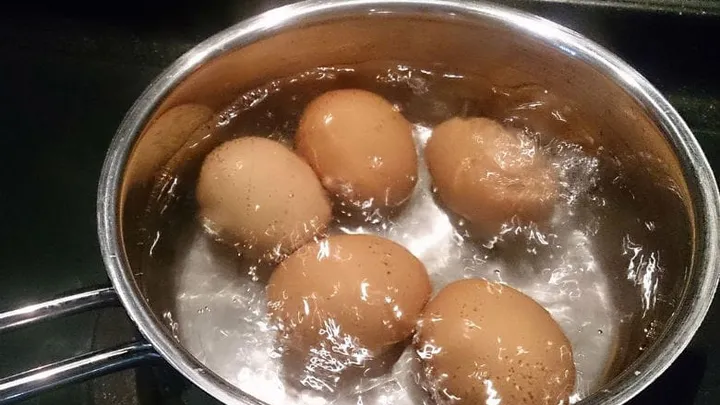 This is why you should pour your boiled egg water on the soil of your plants