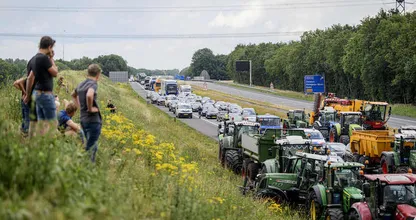 Natuurorganisaties na stikstofoverleg: 'Eerder versnellen dan vertragen'