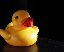 Außen gelb, innen Grün: Badeenten entpuppen sich als wahre Keimschleudern!