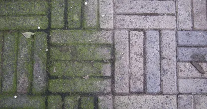 Enlever les mauvaises herbes ? Avec cette astuce, cela ne prendra plus longtemps ! Super pratique !