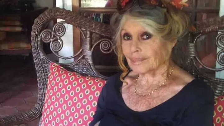 Assim é como o ícone dos anos 50 e 60, Brigitte Bardot, se parece agora!