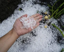 Vanavond code geel: van flinke windstoten tot 3 centimeter grote hagelstenen