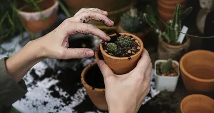 Wow! This is what gardening can do for your mental health!