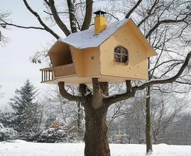 This Man Lives in a Cardboard Treehouse