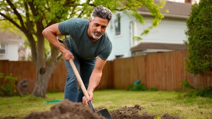 The Mound In His Backyard Was Growing Bigger – Then He Decided to Dig It Up…