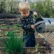 Un estudio demuestra que la jardinería podría reducir el riesgo de cáncer