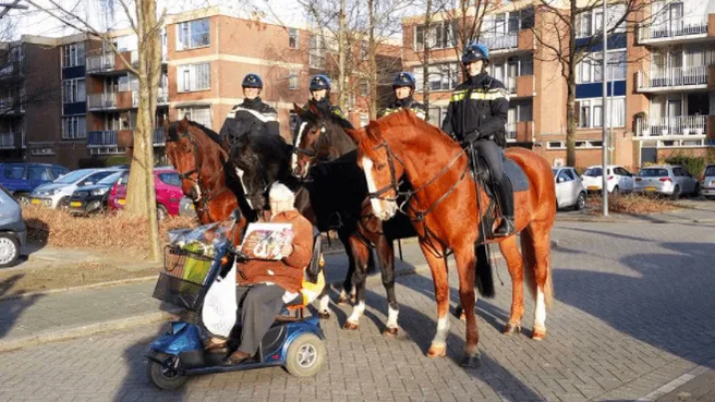 Wat een geweldige actie: politie te paard verrast Jopie het "suikerklontenvrouwtje"!