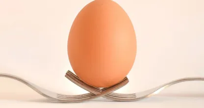 Waarom het internet in de ban is van deze foto van een ei