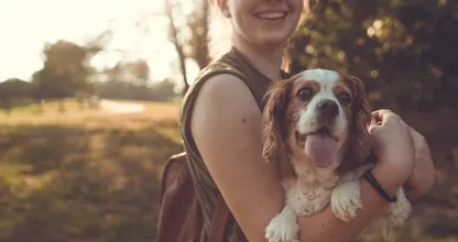 Waarom iedereen met een hond azijn in huis moet hebben