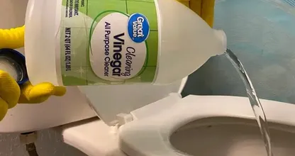 Coloque um pano de vinagre no banheiro e testemunhe a magia!