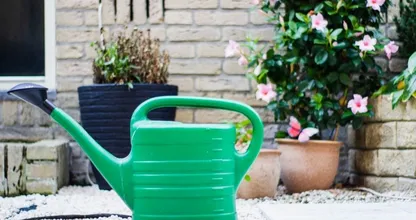 Droge zomer in aantocht: 5 tips om je tuin te beschermen tegen de droogte