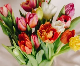Handig: 7 tips om te voorkomen dat je tulpen gaan hangen