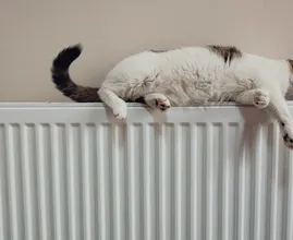 Bakje water op de verwarming tegen droge lucht? Dat kun je beter niet doen