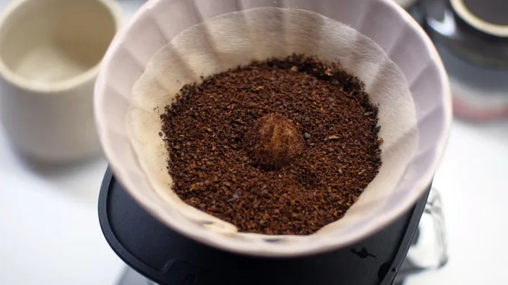 Coffee Filter Left Over? Then Use It For Your Flower Pot!