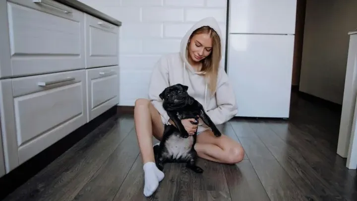 19 gängige Gegenstände, die für Hunde giftig sin