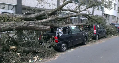 Flinke storm in aantocht: grote kans op omvallende bomen