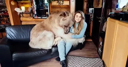 This 21 Year Old Woman Lives Together With a Brown Bear