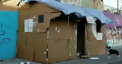 Este homem vive em uma casa de papelão