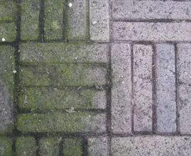 Verhindern, dass Unkraut wächst? Mit diesem Trick dauert es nicht mehr lange! Super praktisch!