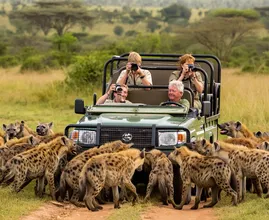 Safari Jeep Surrounded by Hyenas – But What the Driver Does Next Stuns Them All!
