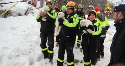 Vertederend...Drie puppy's gered uit Italiaans hotel na vijf dagen in enorme sneeuwberg