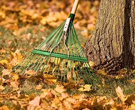 Mit diesen praktischen Tipps machst du deinen Garten schnell und einfach wintertauglich