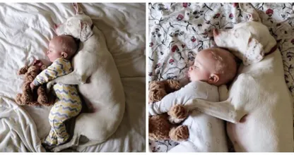 Aaahw, deze twee zijn zo schattig, wij smelten van deze knuffel foto's!