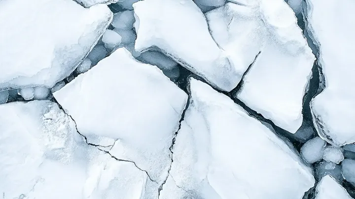 Pensava di essere solo sui ghiacci, finché non è apparso un tricheco gigante